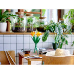 Конструктор LEGO Creator Нарциси (40646).