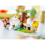 Конструктор LEGO Creator Весенняя площадка для животных (40709).