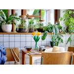 Конструктор LEGO Creator Нарциси (40747).