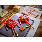 Конструктор LEGO Creator Вузли удачі (40756).