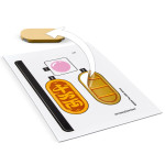 Конструктор LEGO Creator Кіт удачі (40813).