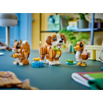 Конструктор LEGO Creator Грайливе щеня (31382). Конструктор LEGO Creator Грайливе щеня (31382).