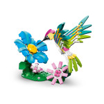 Конструктор LEGO Creator Барвистий колібрі (31384). Конструктор LEGO Creator Барвистий колібрі (31384).