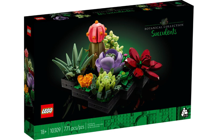 Конструктор LEGO EXPERT Сукуленти (10309).