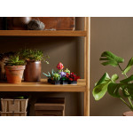 Конструктор LEGO EXPERT Сукуленти (10309).