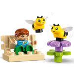 Конструктор LEGO DUPLO Догляд за бджолами та вуликами (10419).