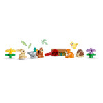 Конструктор LEGO DUPLO Ліс відкриттів із дикими тваринами (10480).