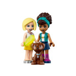 Конструктор LEGO Friends Фургон із морозивом (41715).