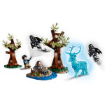 Конструктор LEGO Harry Potter Экспекто Патронум (75945).