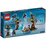 Конструктор LEGO Harry Potter Экспекто Патронум (75945).