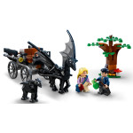 Конструктор LEGO Harry Potter Карета и фестралы Хогвартса (76400).
