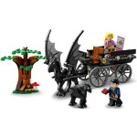 Конструктор LEGO Harry Potter Карета и фестралы Хогвартса (76400).
