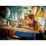 Конструктор LEGO Harry Potter Гоґвортс: Виручай-кімната (76413). Конструктор LEGO Harry Potter Гоґвортс: Виручай-кімната (76413).