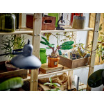 Конструктор LEGO Harry Potter Мандрагора (76433). Конструктор LEGO Harry Potter Мандрагора (76433).