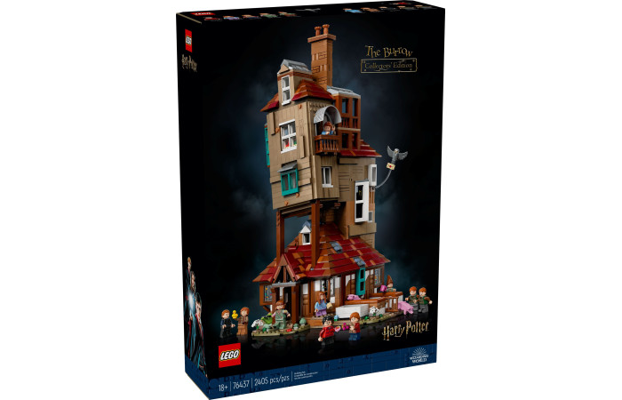 Конструктор LEGO Harry Potter Барлиг - Колекційний набір (76437). Конструктор LEGO Harry Potter Барлиг - Колекційний набір (76437).