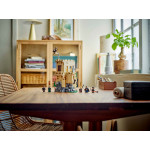 Конструктор LEGO Harry Potter Уроки польотів (76447).