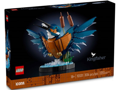 Зимородок Птах