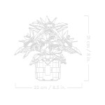 Конструктор LEGO Icons Пуансеттія (10370).