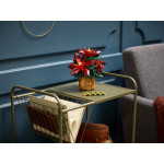 Конструктор LEGO Icons Пуансеттія (10370).