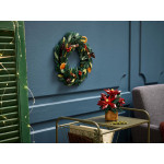 Конструктор LEGO Icons Пуансеттія (10370).