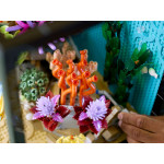 Конструктор LEGO Icons Тропічний акваріум (10366).