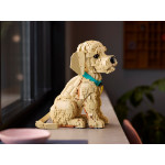 Конструктор LEGO Icons Цуценя золотистого ретривера (11384).