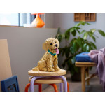 Конструктор LEGO Icons Цуценя золотистого ретривера (11384).