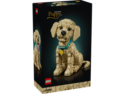 Цуценя золотистого ретрівера