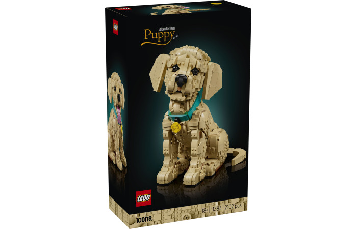 Конструктор LEGO Icons Цуценя золотистого ретривера (11384).