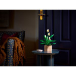 Конструктор LEGO Icons Спатифілум лілія (11504).