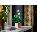 Конструктор LEGO Icons Спатифілум лілія (11504).