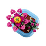 Конструктор LEGO Icons Квітучий кактус (11509).