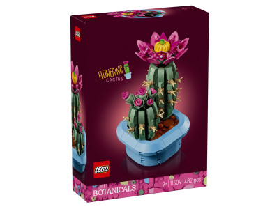 Квітучий кактус