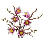 Конструктор LEGO Icons Гілки магнолії (11510).