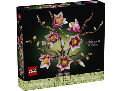 Гілки магнолії