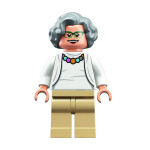 Конструктор LEGO Ideas Женщины-учёные НАСА (21312).