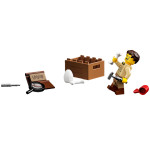 Конструктор LEGO Ideas Скам'янілості динозаврів (21320).