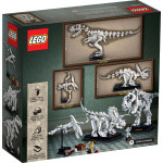 Конструктор LEGO Ideas Скам'янілості динозаврів (21320).