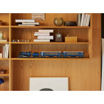 Конструктор LEGO Ideas Східний експрес (21344).