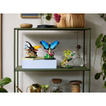 Конструктор LEGO Ideas Колекція комах (21342).