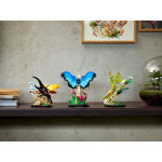 Конструктор LEGO Ideas Колекція комах (21342).