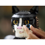 Конструктор LEGO Ideas Чорно-білий кіт (21349).