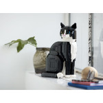 Конструктор LEGO Ideas Чорно-білий кіт (21349).