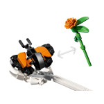 Конструктор LEGO Ideas Катріна (21372). Конструктор LEGO Ideas Катріна (21372).