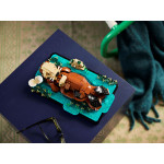 Конструктор LEGO Ideas Плаваючі калани (21366).