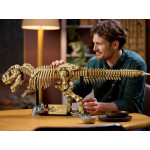 Конструктор LEGO Jurassic World Скам'янілості динозаврів: Тиранозавр рекс (76968). Конструктор LEGO Jurassic World Скам'янілості динозаврів: Тиранозавр рекс (76968).