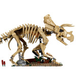 Конструктор LEGO Jurassic World Окаменелости динозавра: трицератопс (77985).