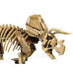 Конструктор LEGO Jurassic World Окаменелости динозавра: трицератопс (77985).