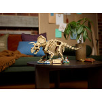 Конструктор LEGO Jurassic World Окаменелости динозавра: трицератопс (77985).
