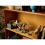 Конструктор LEGO Jurassic World Окаменелости динозавра: трицератопс (77985).